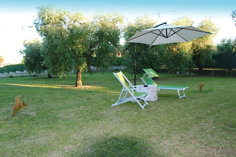 بنسيون ديلي أوليفي المنطقة الخارجية