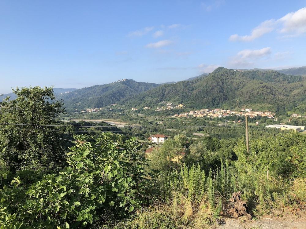 لا كازا نيل سومو