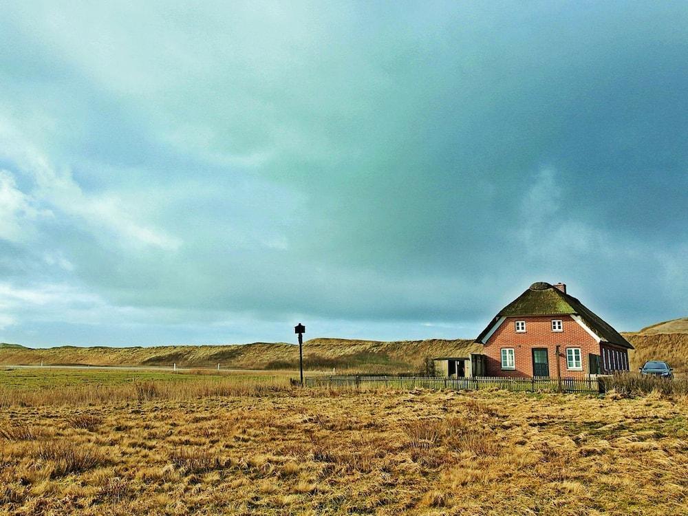 مودرن هوليداي هوم إن بوفلينجبييرج دينمارك وذ تيريس المنطقة الخارجية