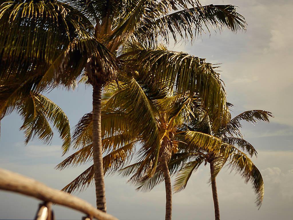 Pullman Cayo Coco Others