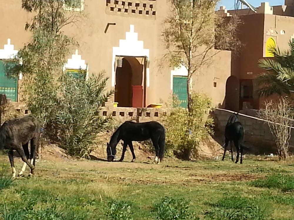 Auberge Jnanedar Diafa