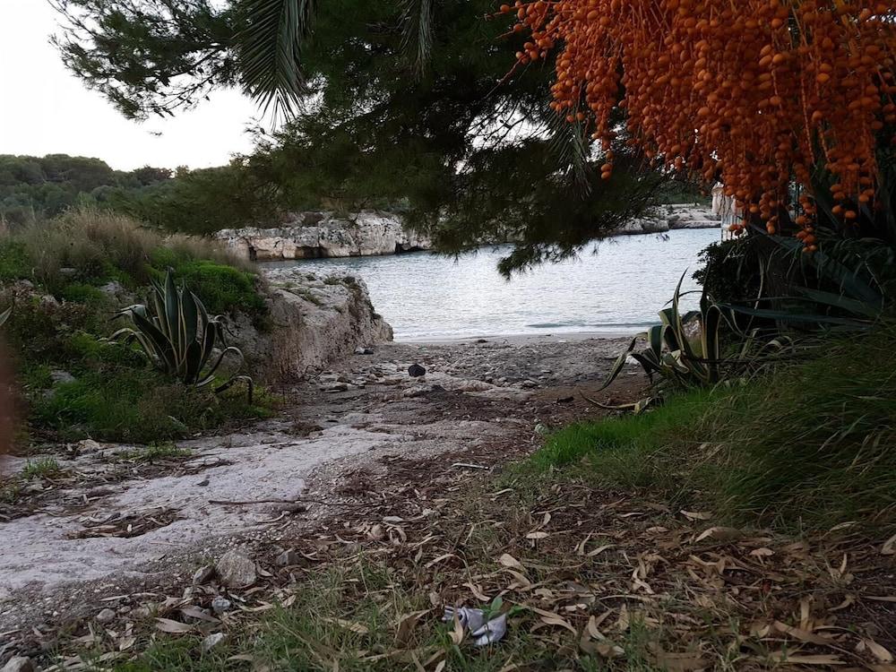 بي آند بروكولي المنطقة المحيطة بالمنشأة