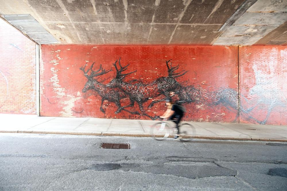 1 هوتل بروكلين بريدج منظر من الجو