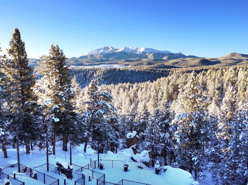 بايكس بيك بارادايز-وودلاند بارك منظر من الجو