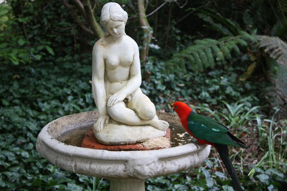 Secrets Hideaway Property Grounds