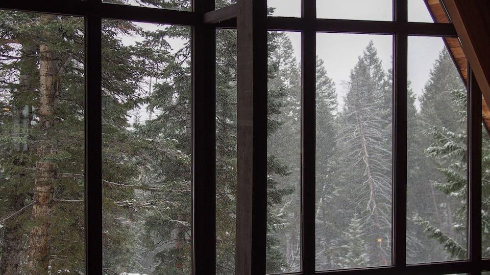 White Pines 4-BD Cabin in the Woods -- Easy Access in Summit Park View from room