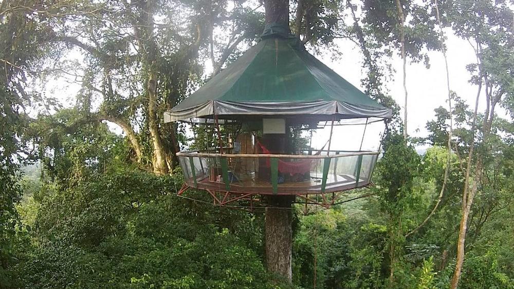 Nature Observatorio Amazing Treehouse Featured Image