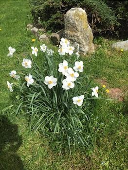 لا فيرمي ديه مولينو دو بايلي المنطقة الخارجية