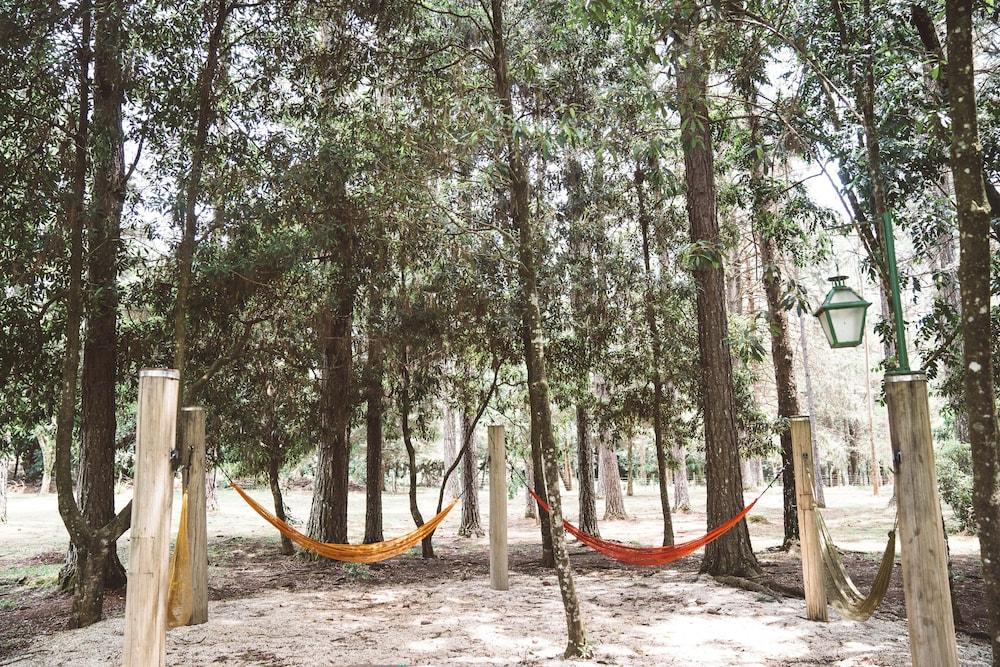 بوزادا بيتانيا المنطقة المحيطة بالمنشأة