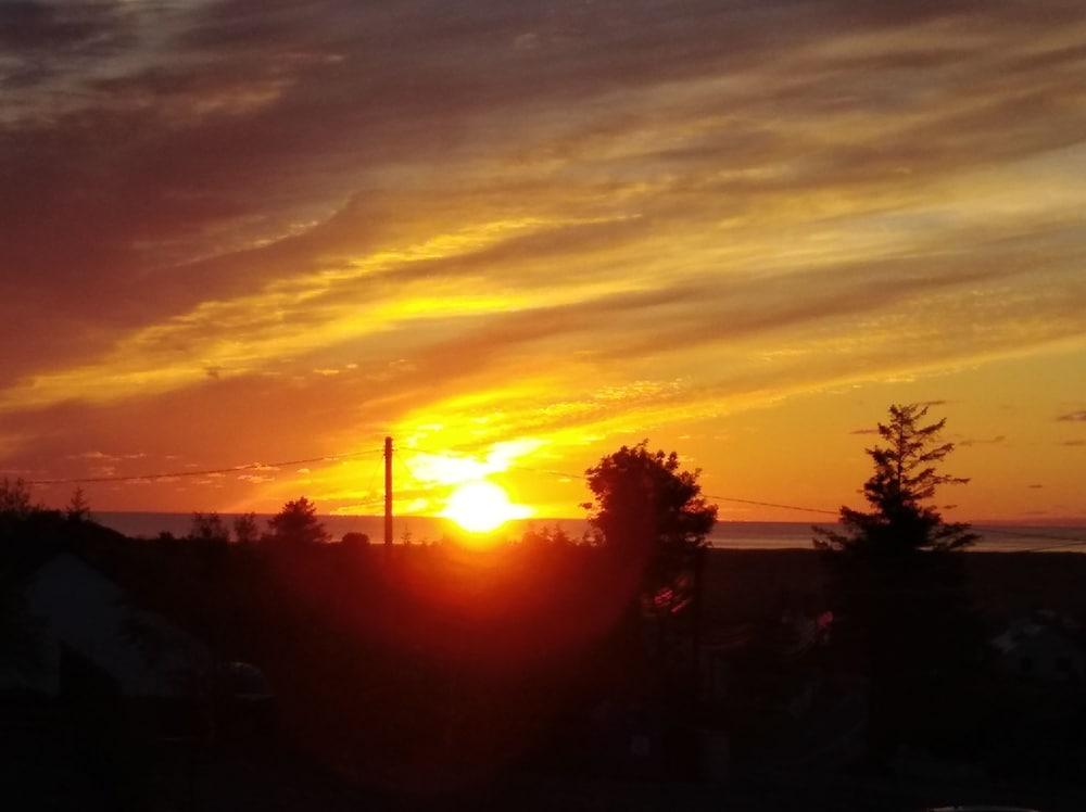 مادرا روا أورجانيك أكوموديشن المنطقة الخارجية