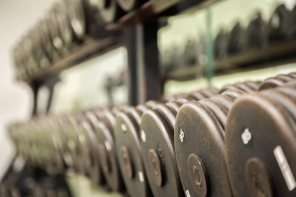 هوليداي إن كلوب فاكيشنز آت ليك جينيفا ريزورت باي آيتش جي مرفق اللياقة البدنية