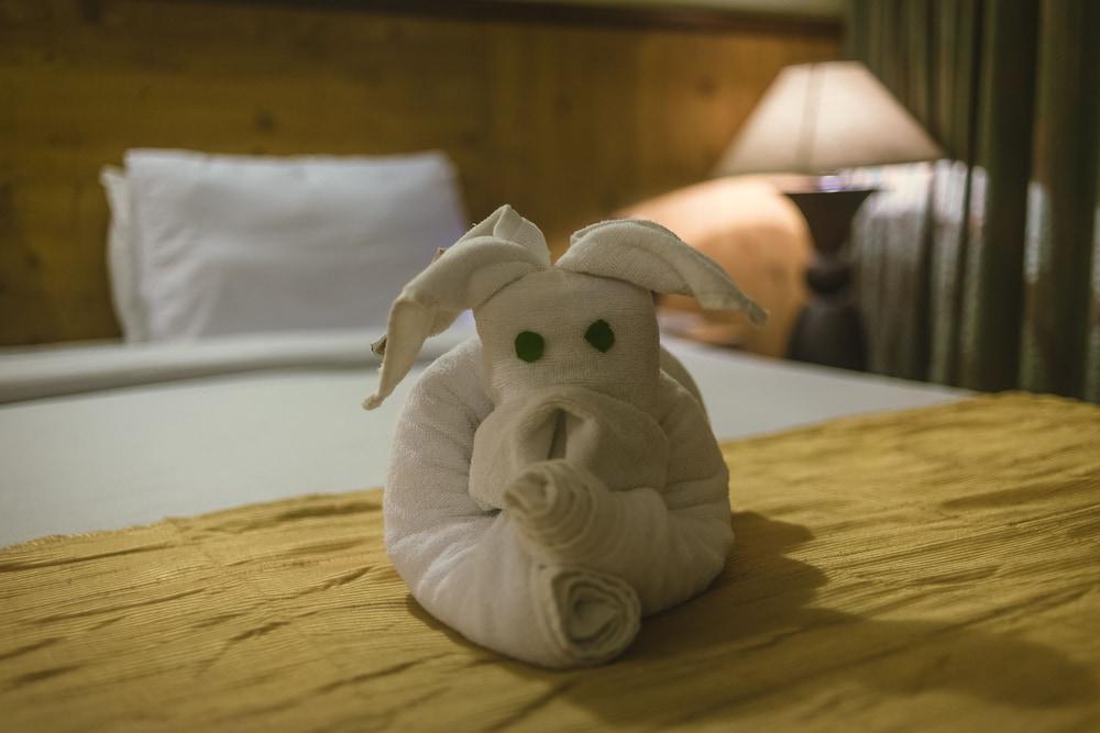 أبر ديك ريزورت - ستاي آند ريلاكس آت ذا هييست بيك لونافالا تفاصيل الفندق من الداخل