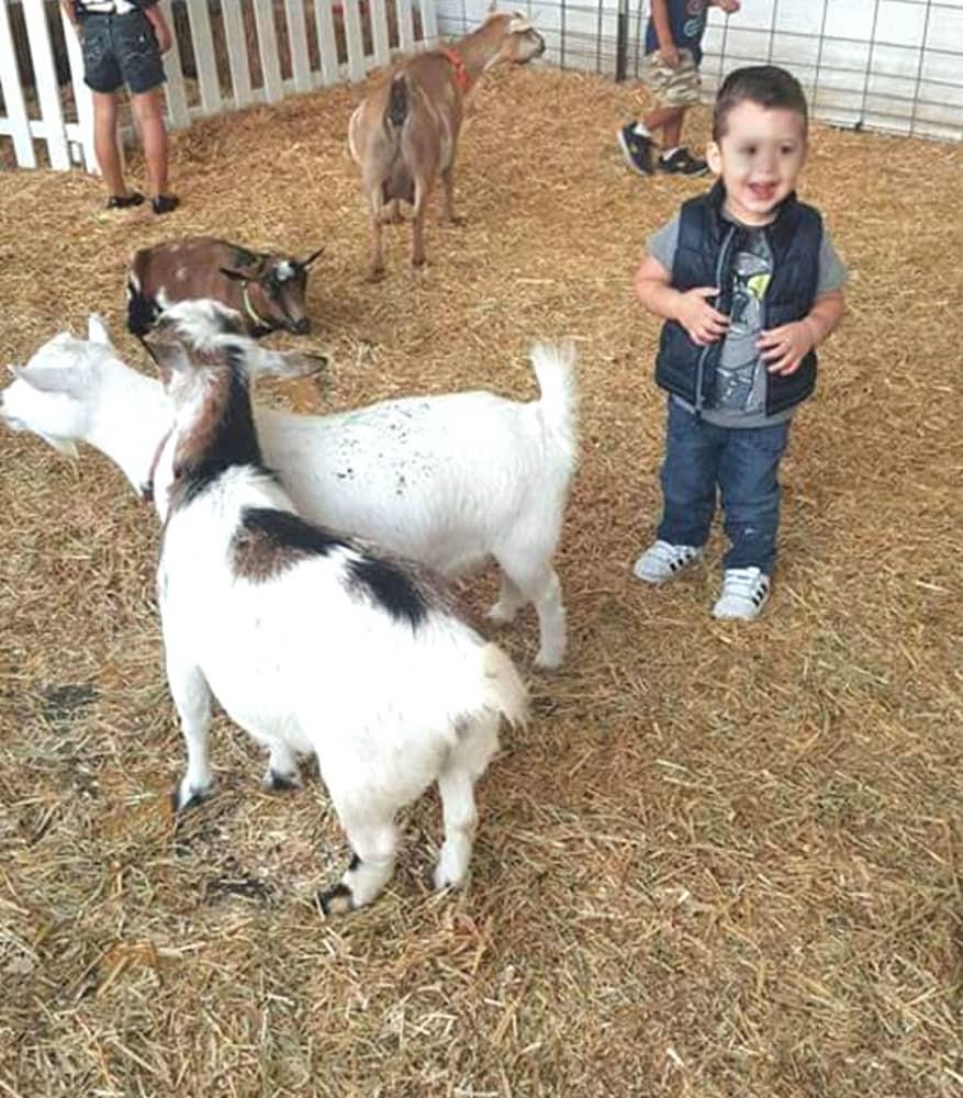 بورتو نوفو باجا هوتل آند فيلاز المنطقة الخارجية