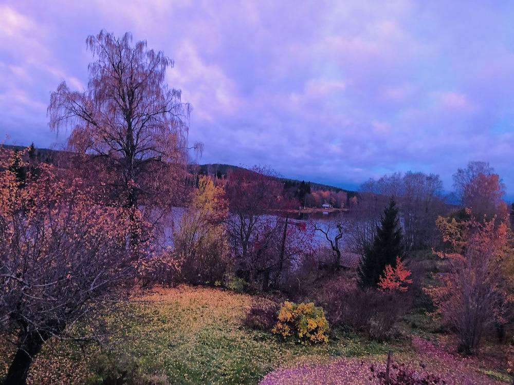 Apple Tree Cabin With River Views Property Grounds