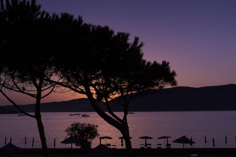 هوتل كورتي روزاد ، أفيلياتيد باي ميليا المنطقة الخارجية