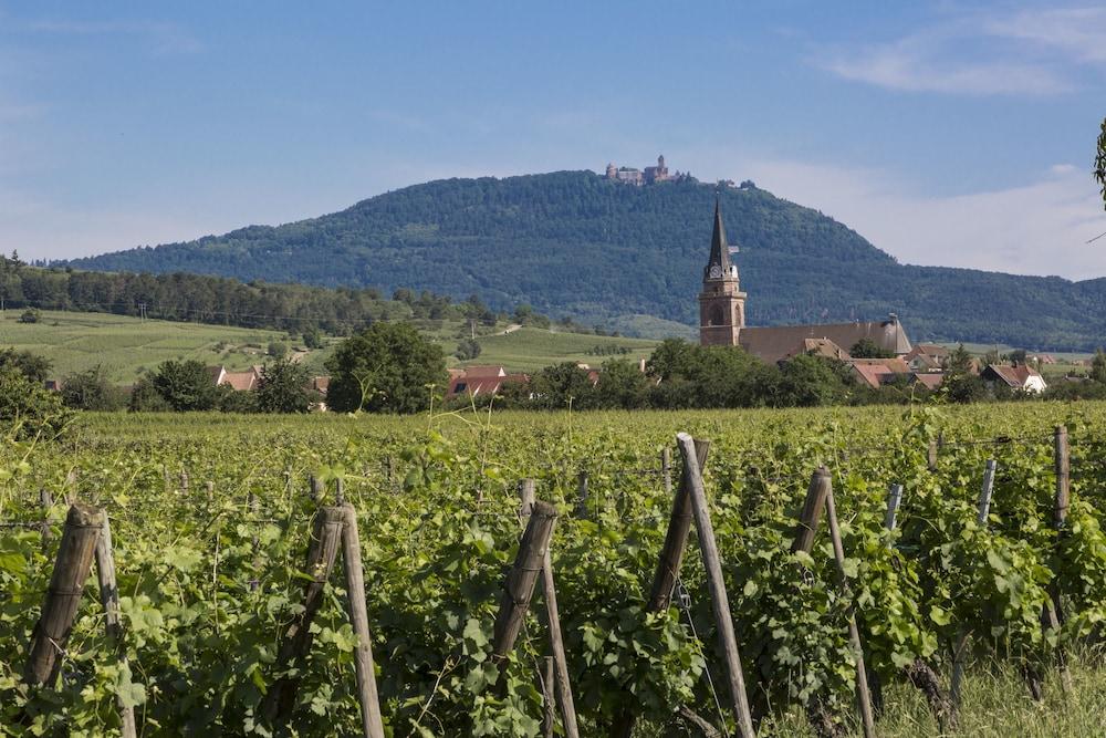 ريزيدونس أوداليز لو دومين دي روا المنطقة الخارجية