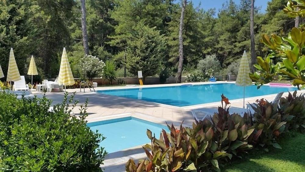 بي بي إف أبارت 1 باي دريم أوف هوليداي حمام سباحة مكشوف