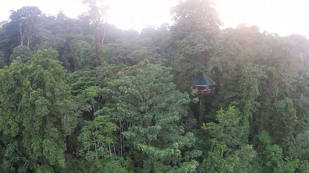Nature Observatorio Amazing Treehouse Aerial View