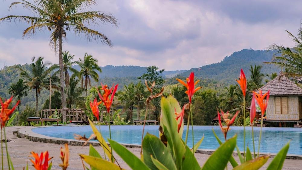 بوري صني كامبينج