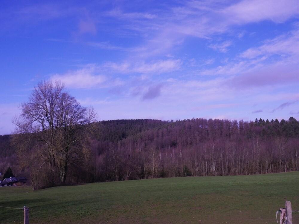 ألورينج هوليداي هوم إن أيوايل وذ باربيك المنطقة الخارجية