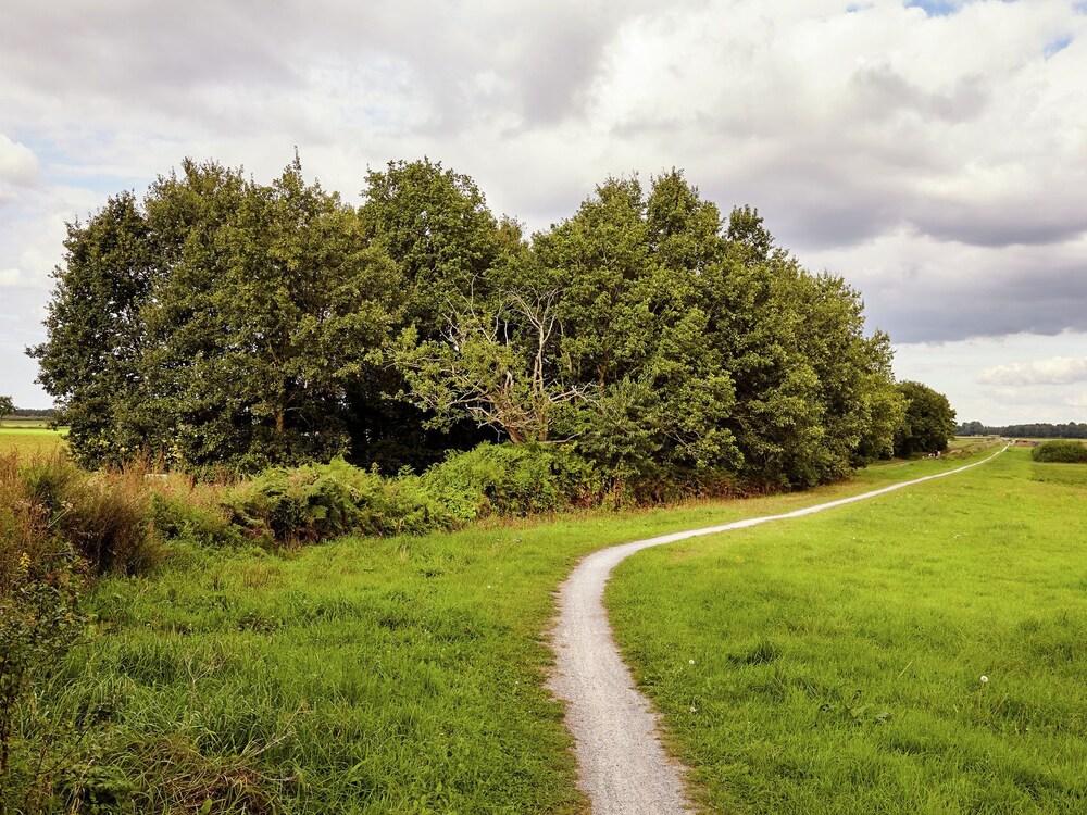 An Atmospheric Guest House on the Grounds of a Farm House in Eexterzandvoort Exterior