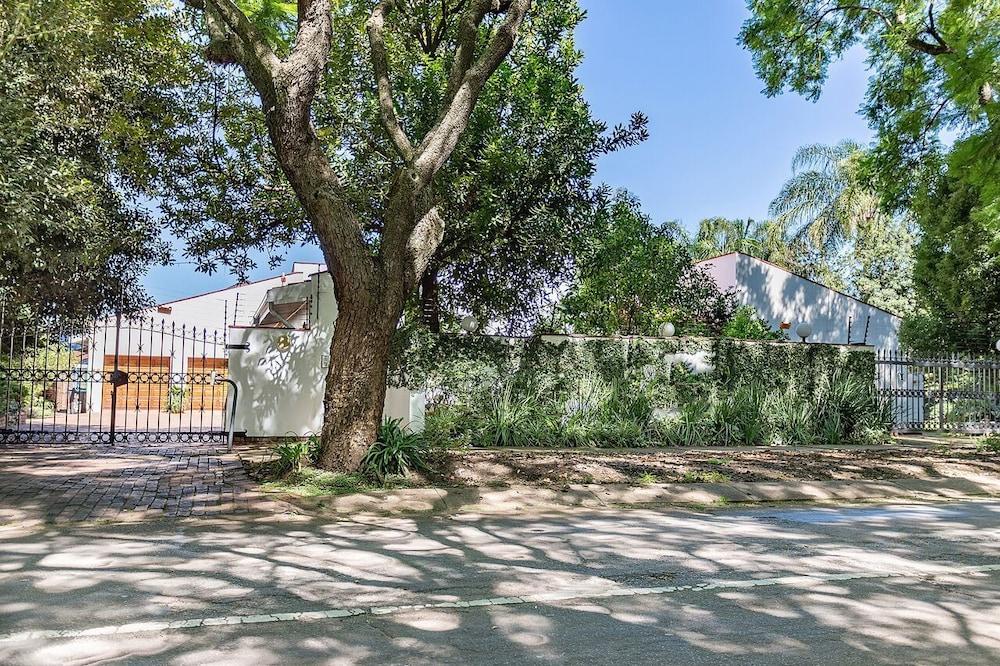 باي تري جيستهاوس