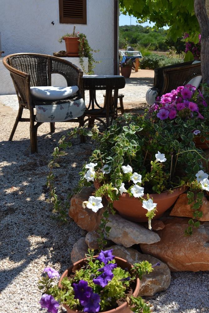 بد آند بريكفاست لا كازا بيانكا دي بورتو كونتي المنطقة الخارجية