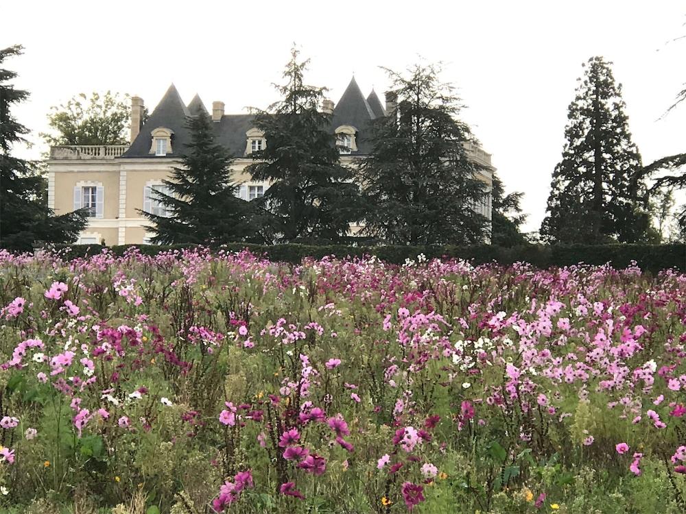 دومين دو بوزلوند بد آند بريكفاست تفاصيل الفندق من الخارج