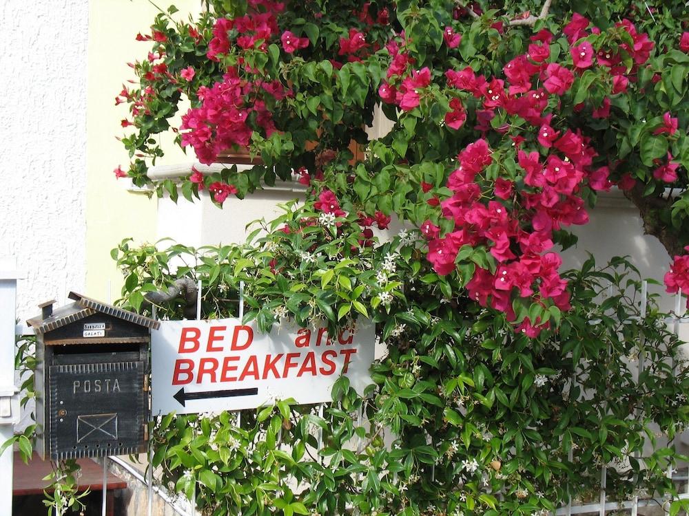 نونا بينا تفاصيل الفندق من الخارج