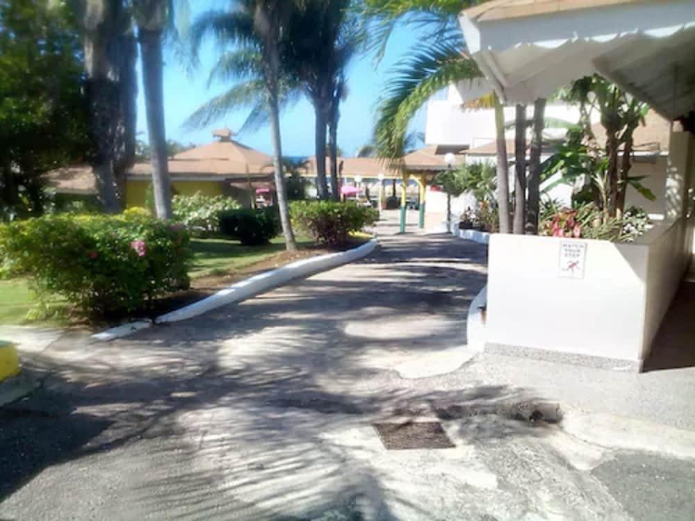 كلوب أمبيانس - للبالغين فقط - شامل جميع الخدمات المنطقة المحيطة بالمنشأة