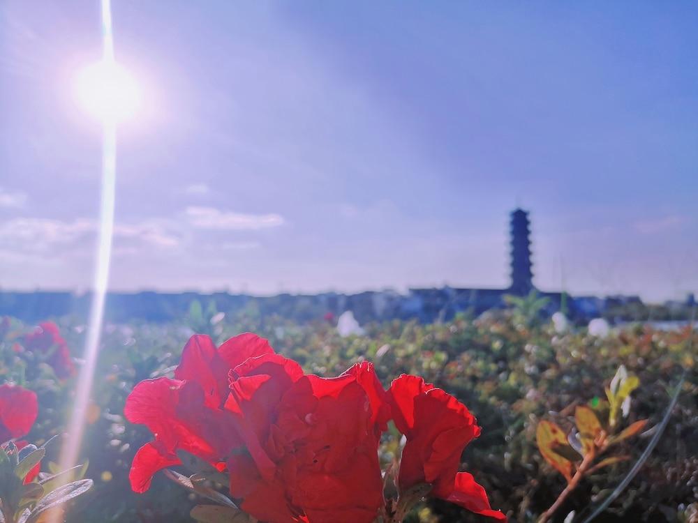 ووهو ماكرولينك ليجند هوتل المنطقة الخارجية