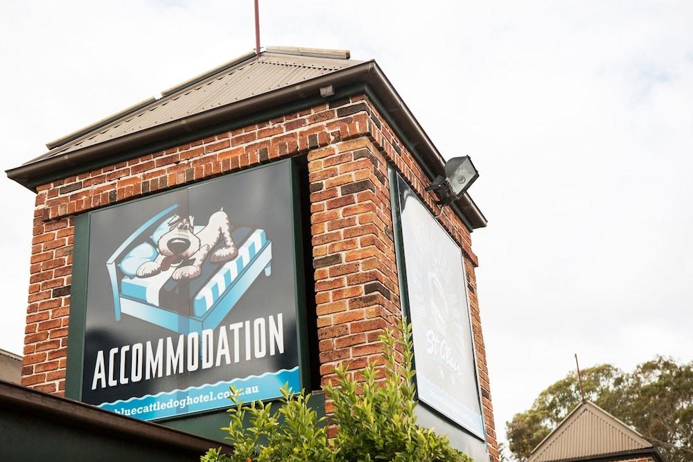 نايت كاب آت بلو كاتل دوغ هوتل المنطقة الخارجية