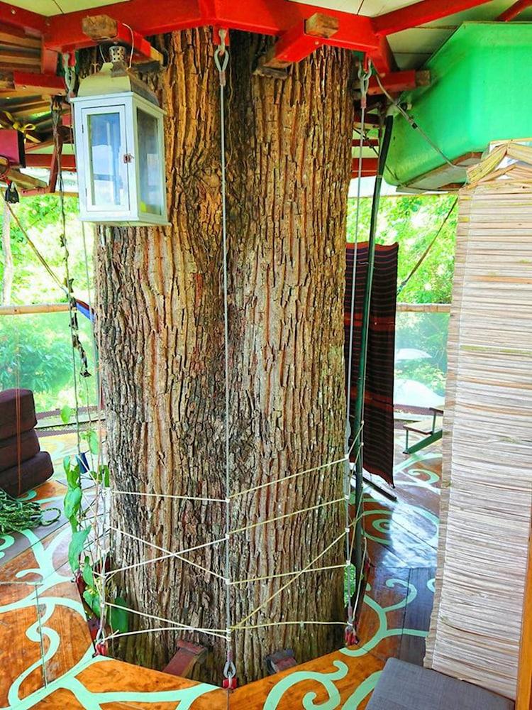 Nature Observatorio Amazing Treehouse Interior