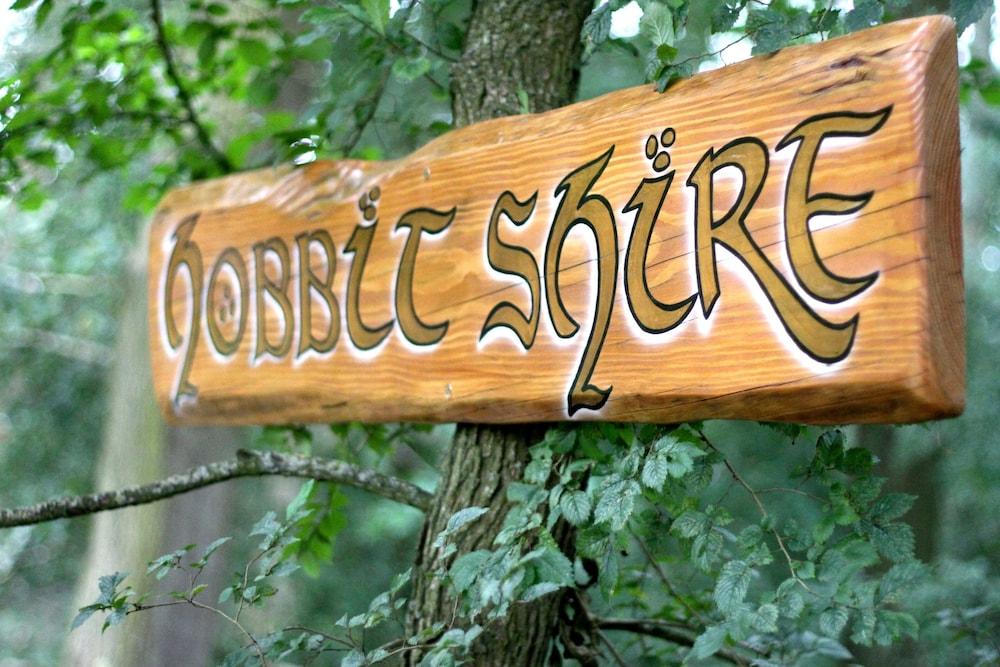 سيكلوديد ميدوو، يونيك شاير هات، بيرفيكت كامبينج المنطقة الخارجية