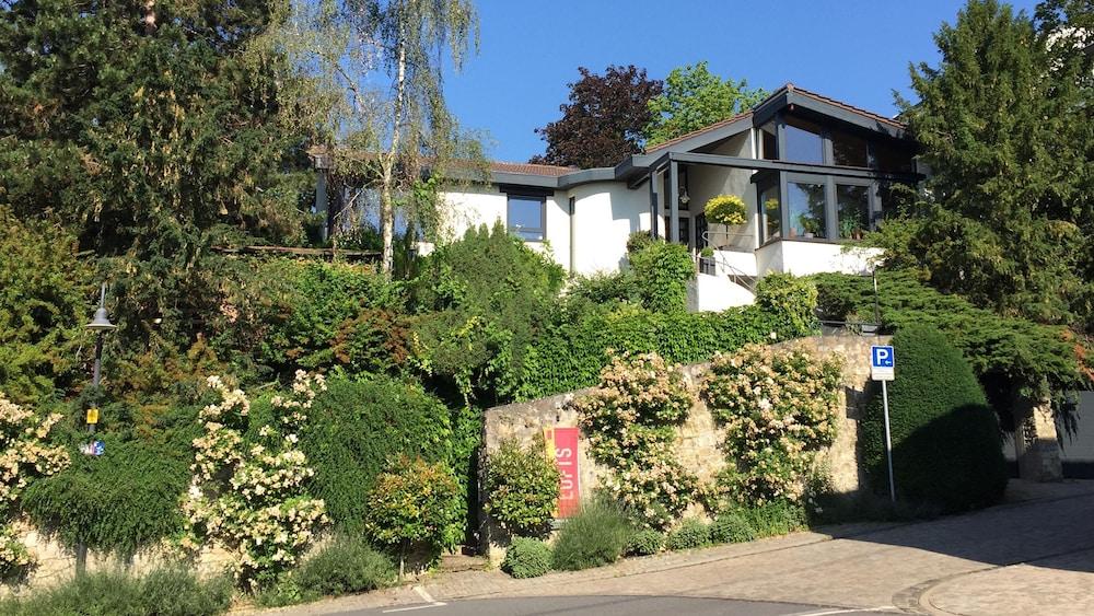 أوبينهايم لوفتس