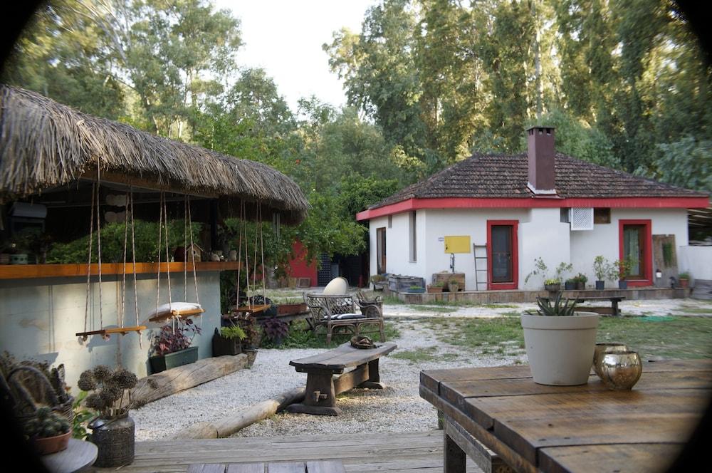 داني غوكوفا