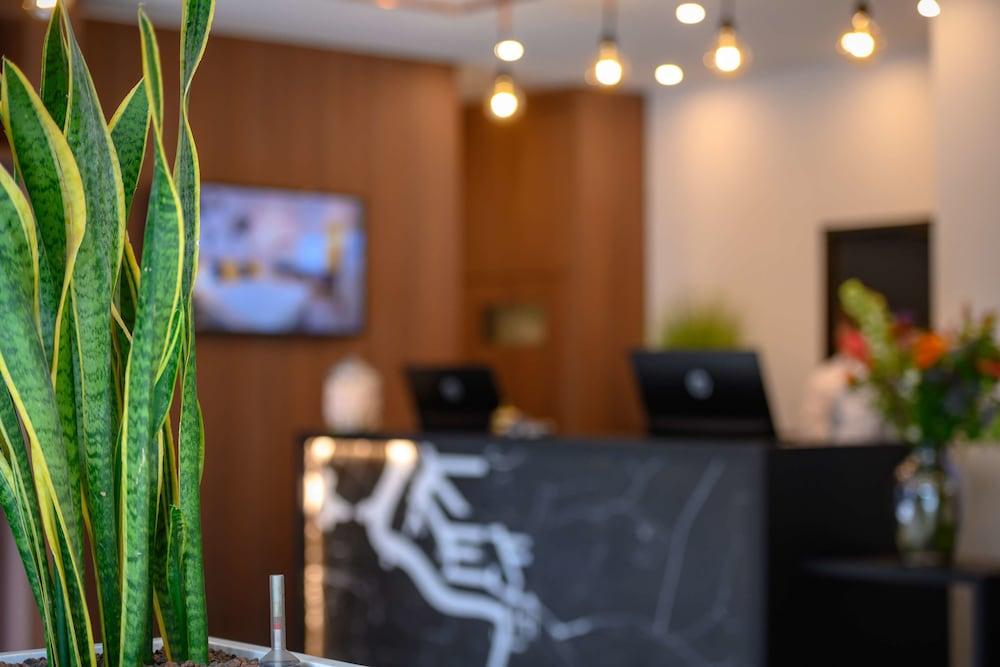 تيوليب إن أنتويربين منطقة الاستقبال