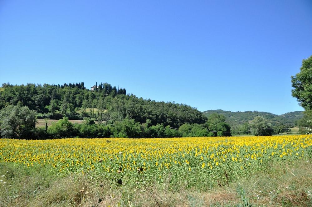 أجريتوريزمو آي جيلسي دي سانتا كريستينا المنطقة الخارجية
