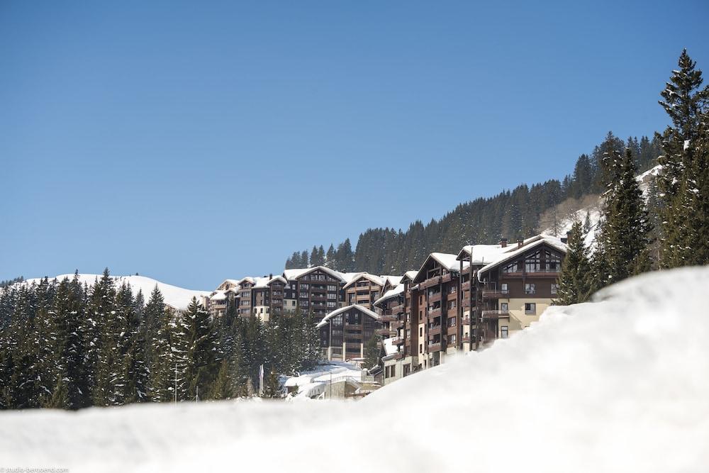 بيير إيه فاكونس بريميوم فلين ليه تيراس ديوس المنطقة الخارجية