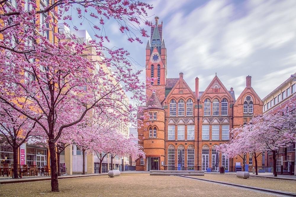 تيودورز إيسويتس بيرمينجام تاون هاوس فور كونتراكتورز المنطقة الخارجية