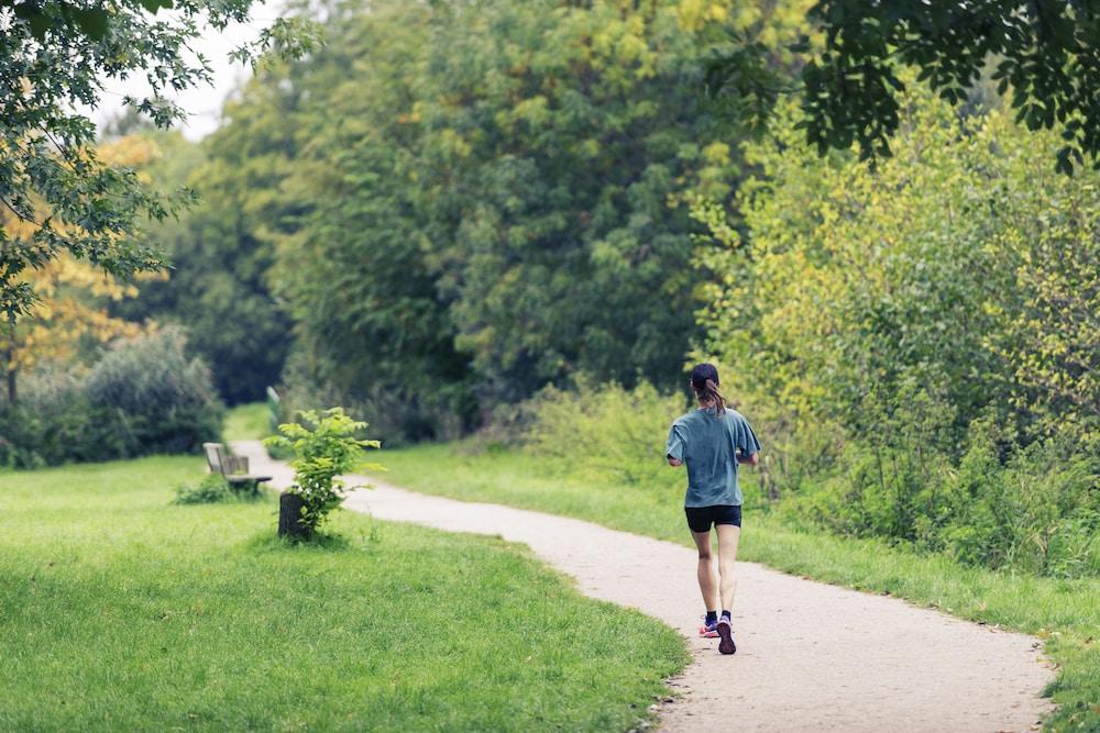 إيبيس مولهاوس إل نابوليون المنطقة الخارجية