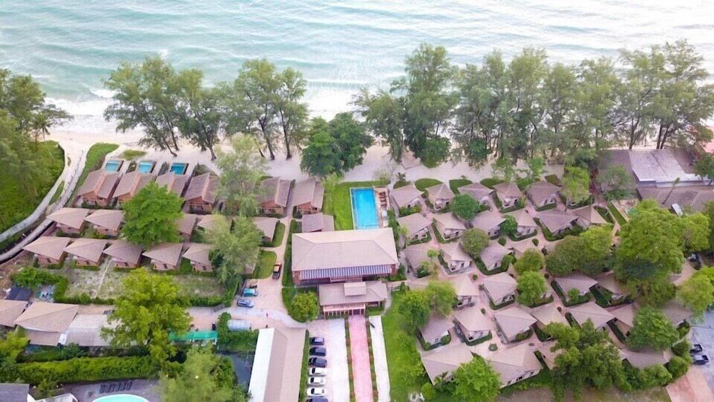 فلورا آي تالاي