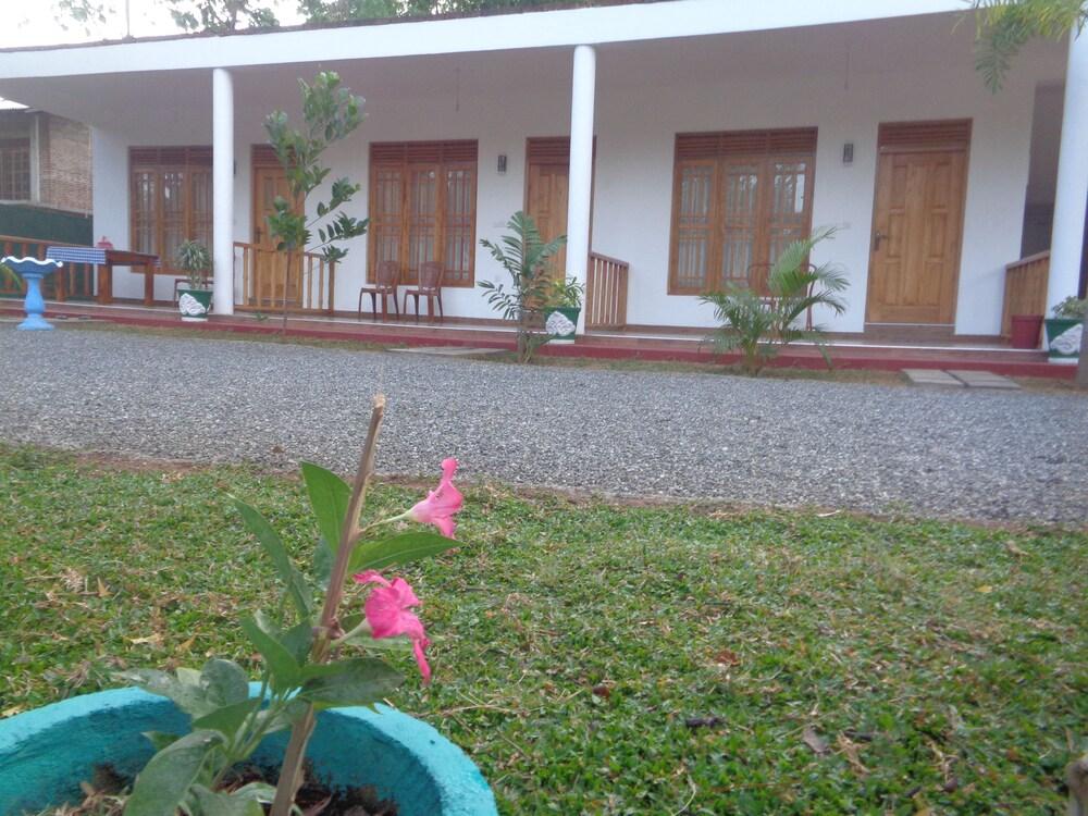 Jungle View Guest Property Grounds