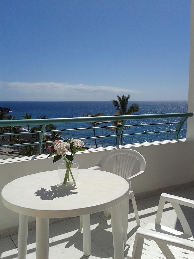 Apartamentos Playa Delphin Others