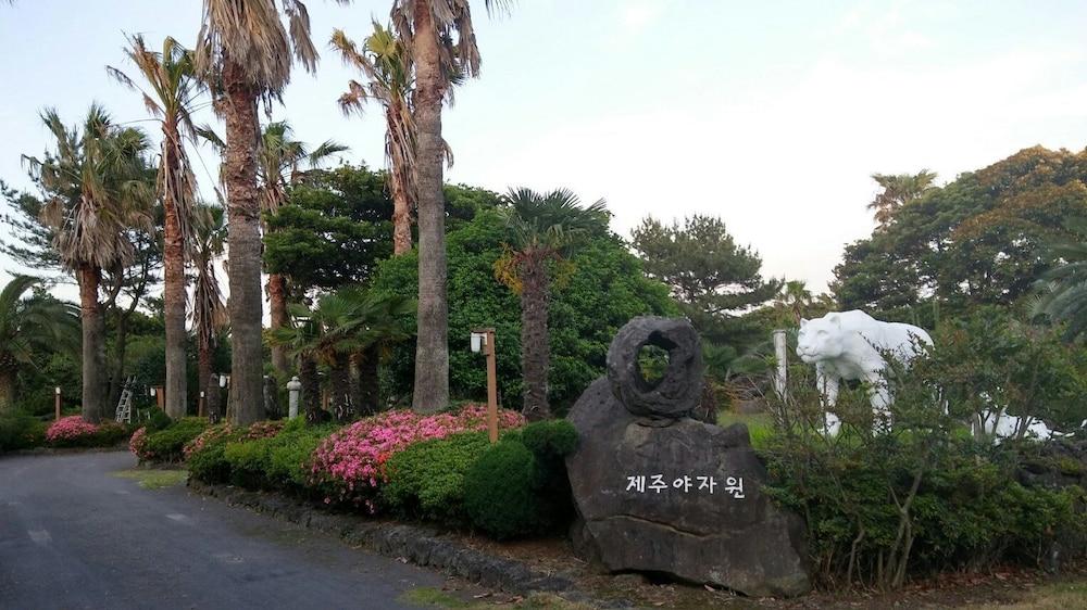 Jeju Yazawon