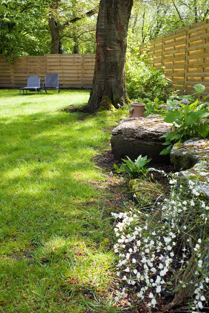 بي آند بي دو دوبلمولين المنطقة المحيطة بالمنشأة