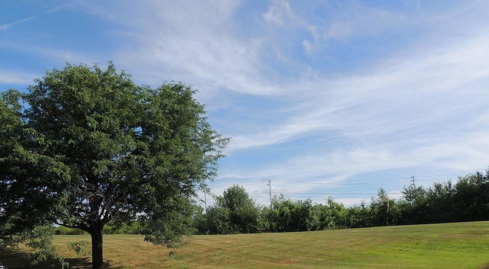 كواليتي إن آند سويتس سيراكوس فيرجراوندز المنطقة الخارجية