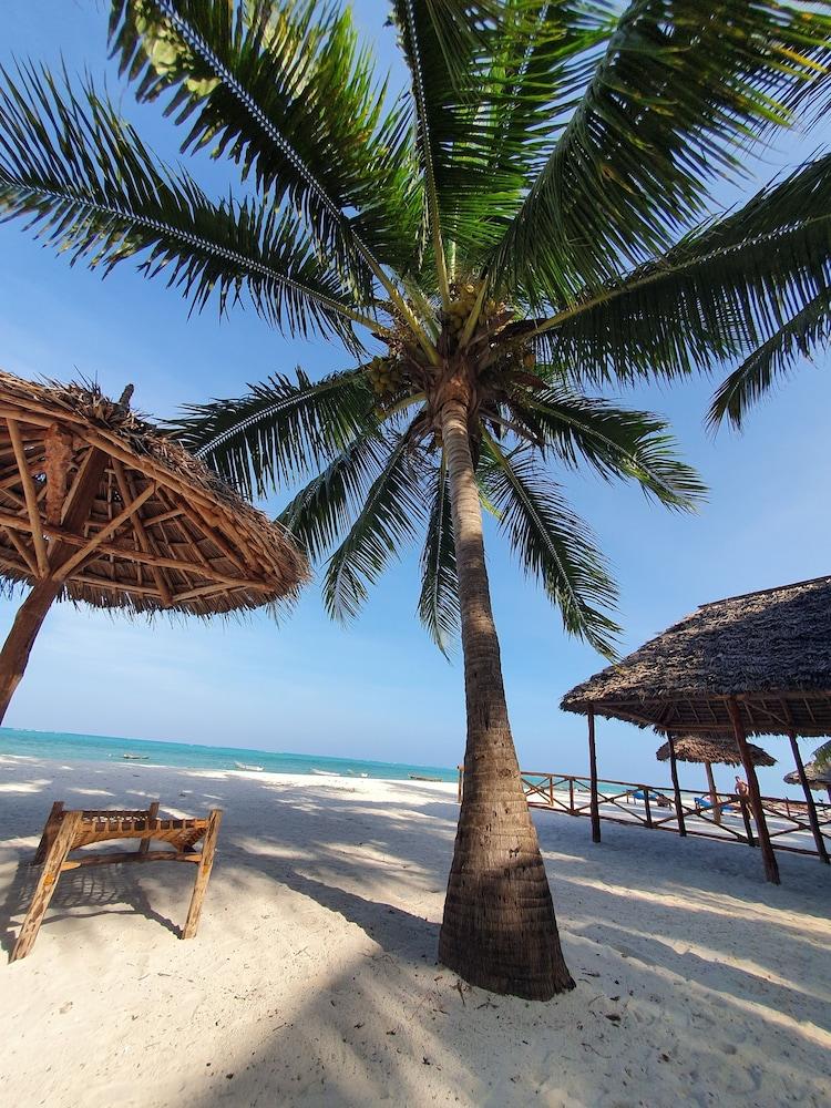 فيّا فانيلا زانزيبار الشاطئ