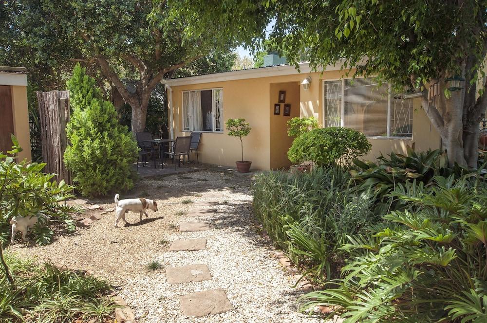 زاريبا بي آند بي جيست هاوس المنطقة الخارجية