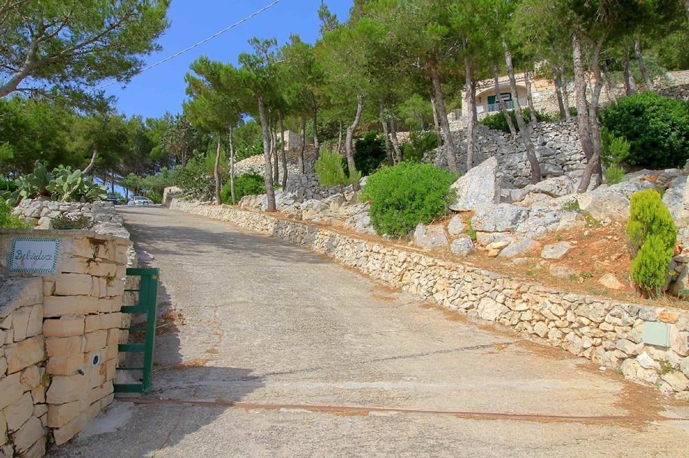 بيلفيدير 1 لوكس بول هاوس المنطقة المحيطة بالمنشأة